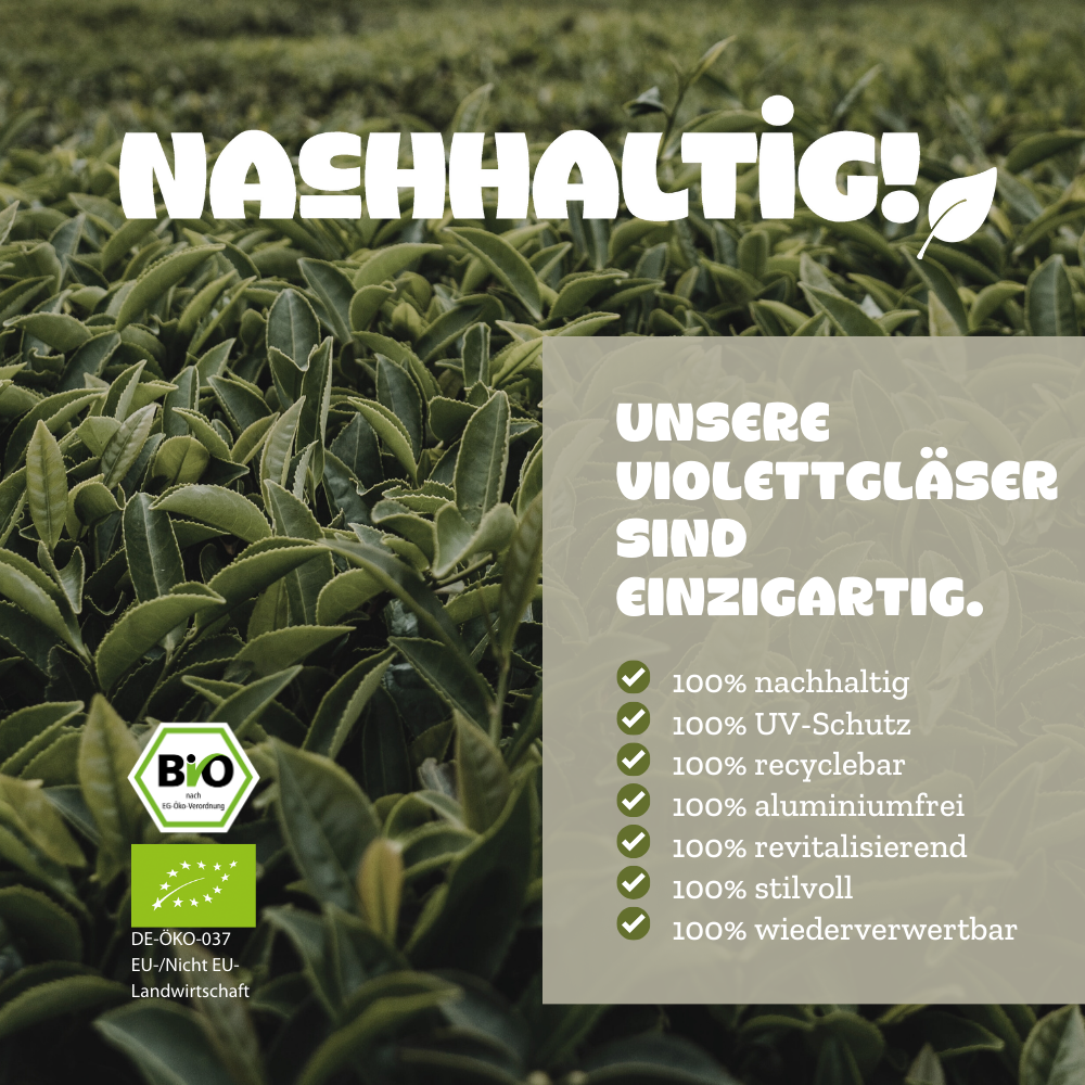 Tutti Fruitea Dream - Früchtetee - 50g - Bio