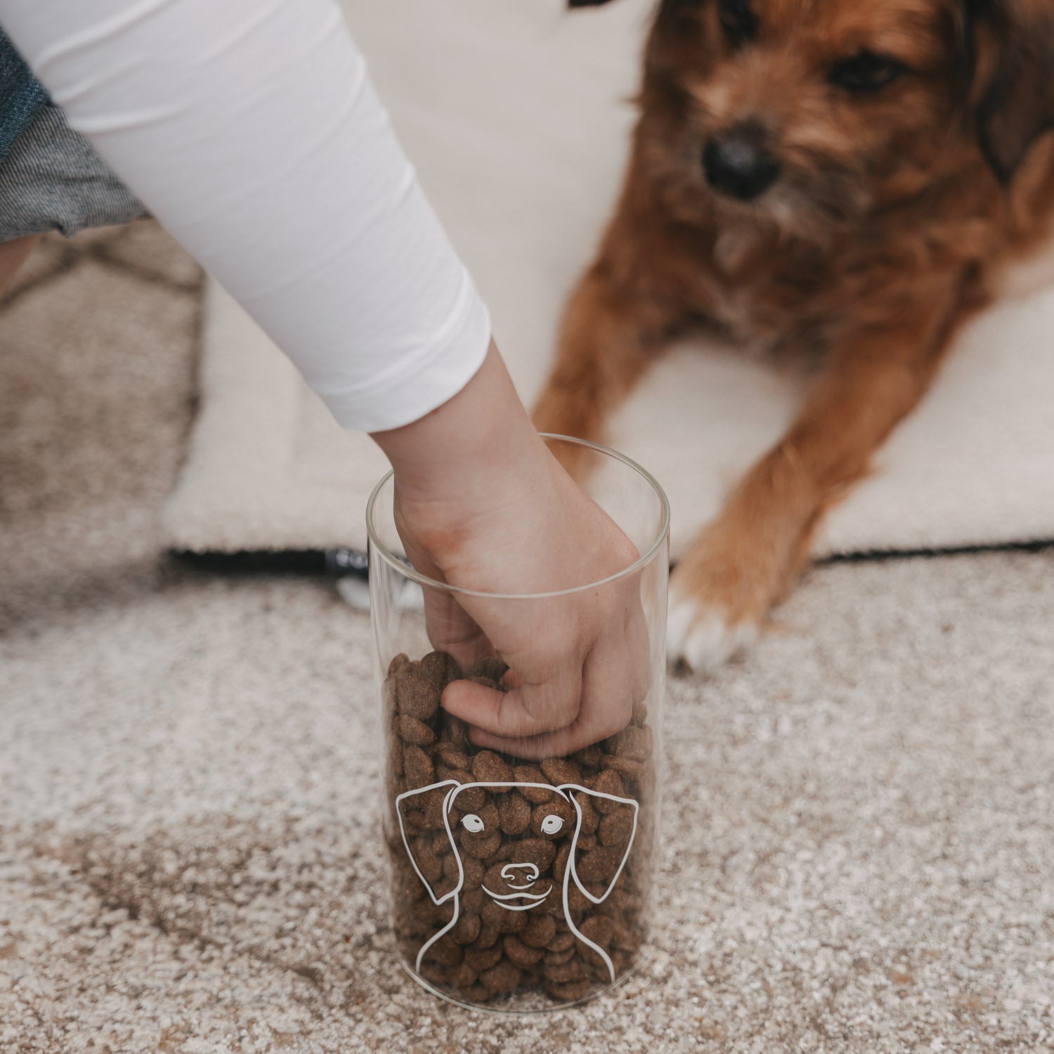 Vorratsglas Hund