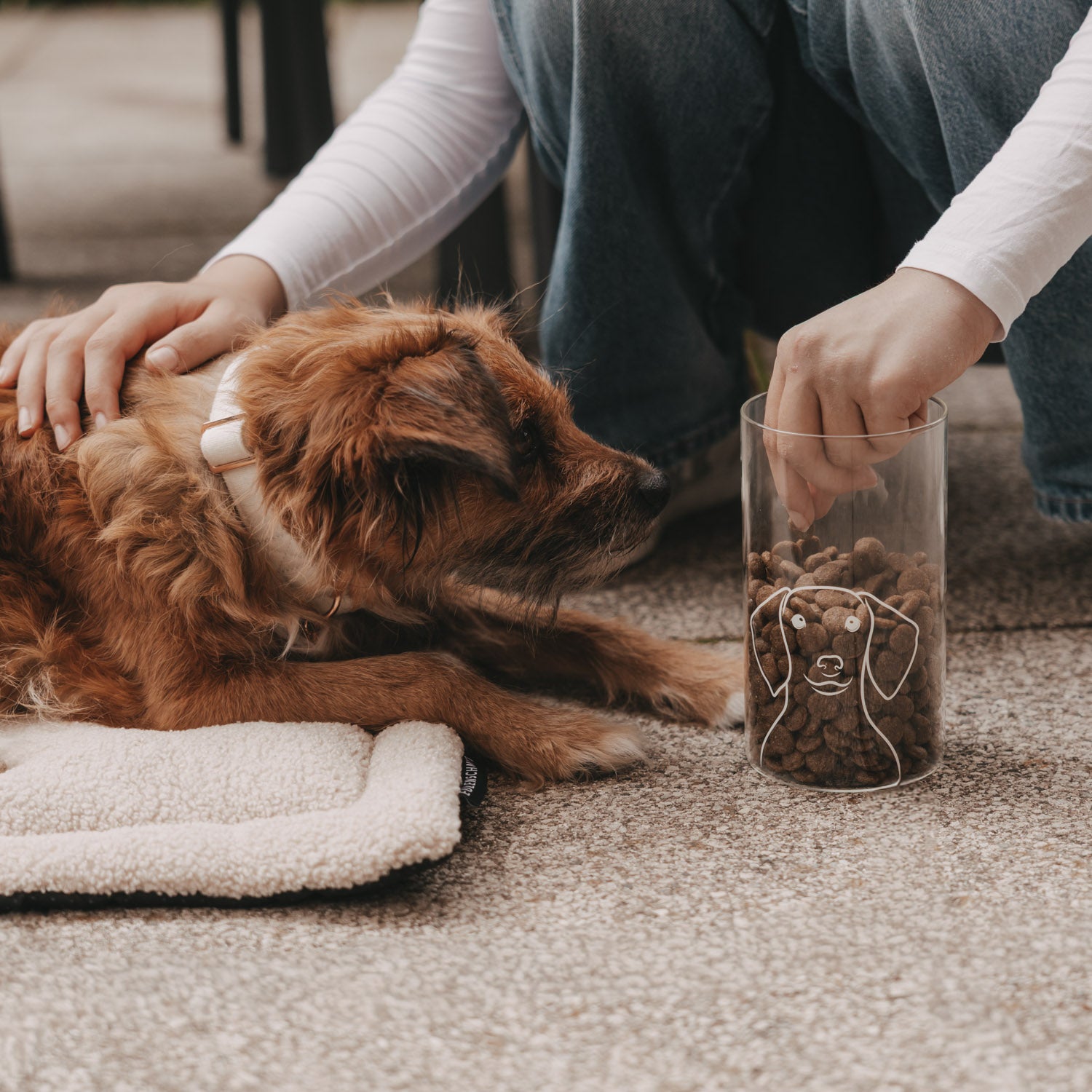 Vorratsglas Hund
