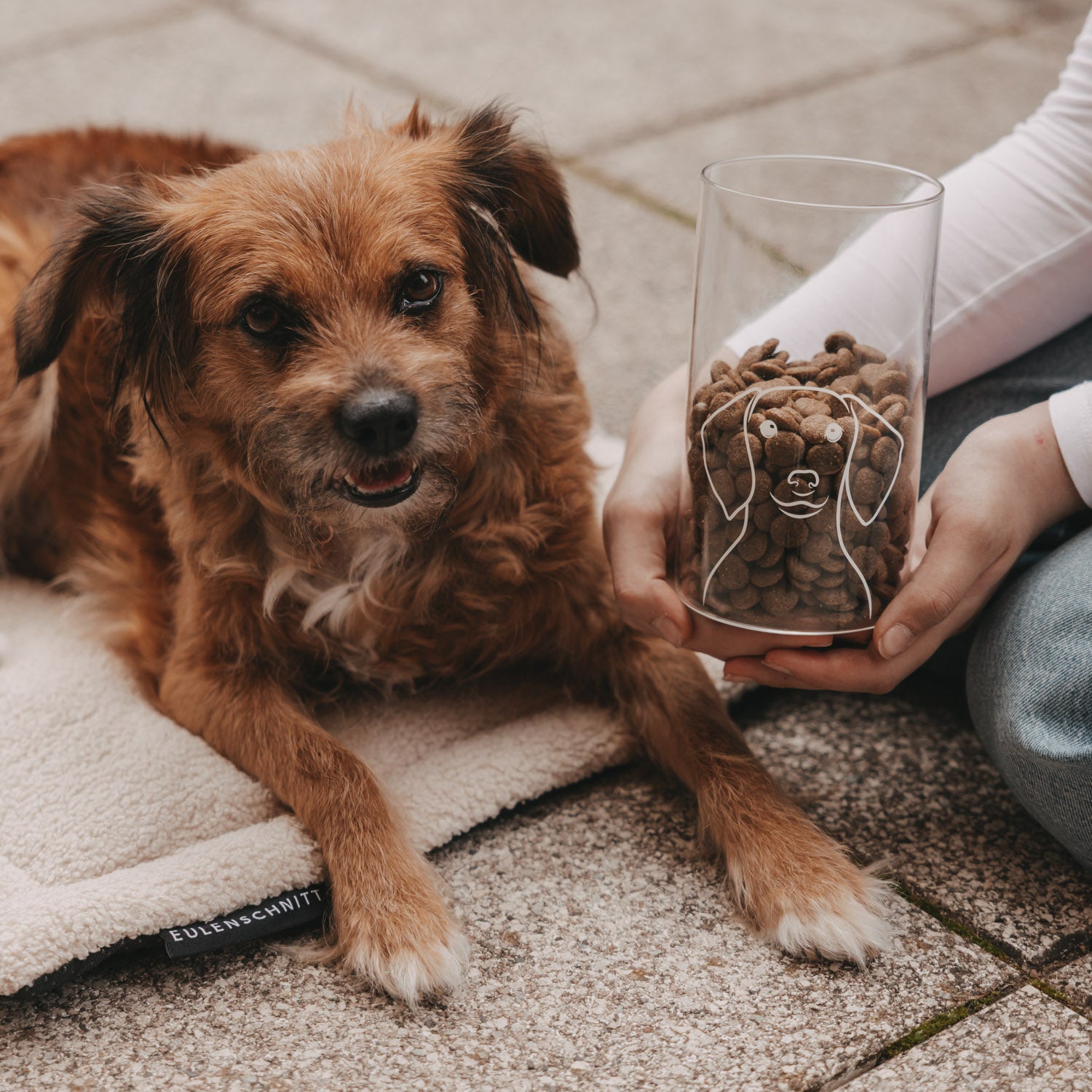 Vorratsglas Hund