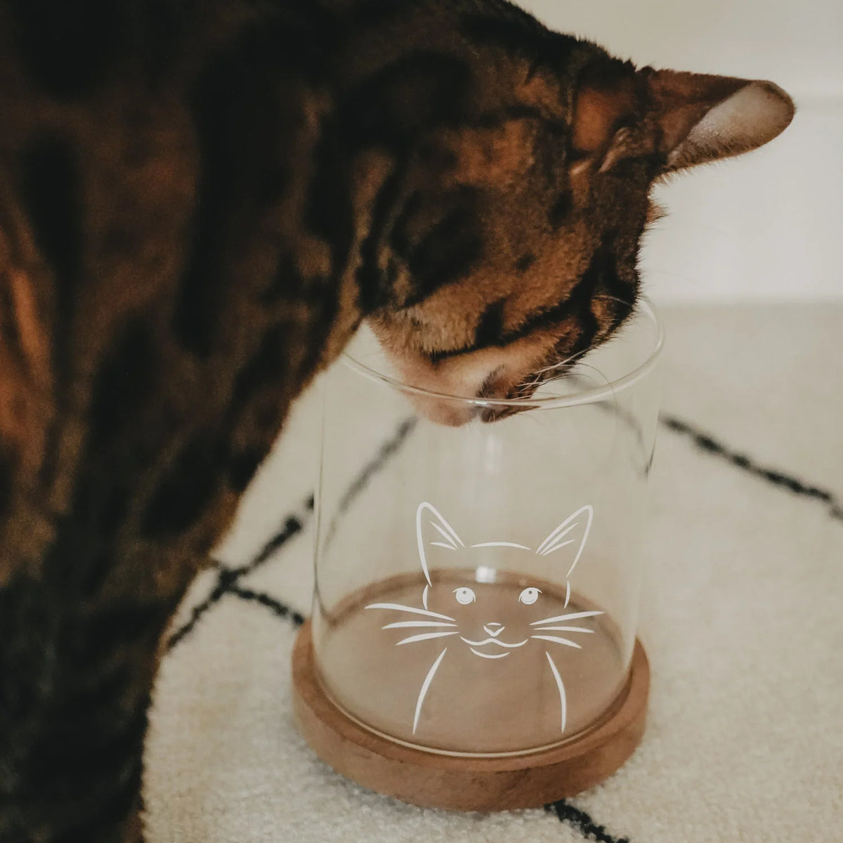 Vorratsglas Katze