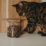 Vorratsglas Katze