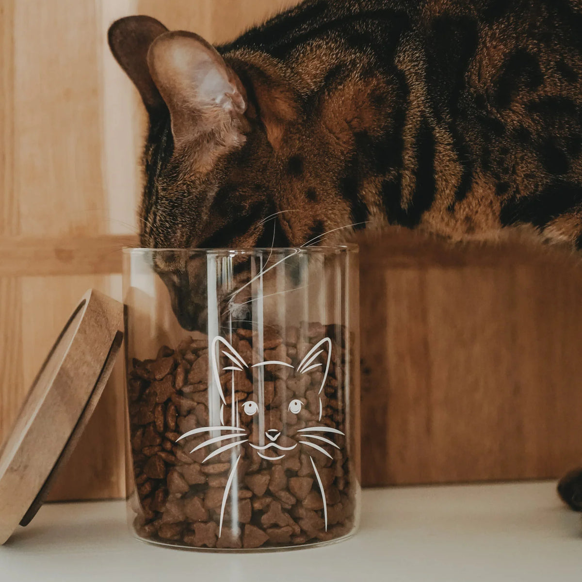 Vorratsglas Katze