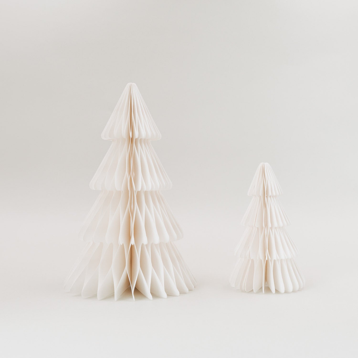Papiertanne 2er Set