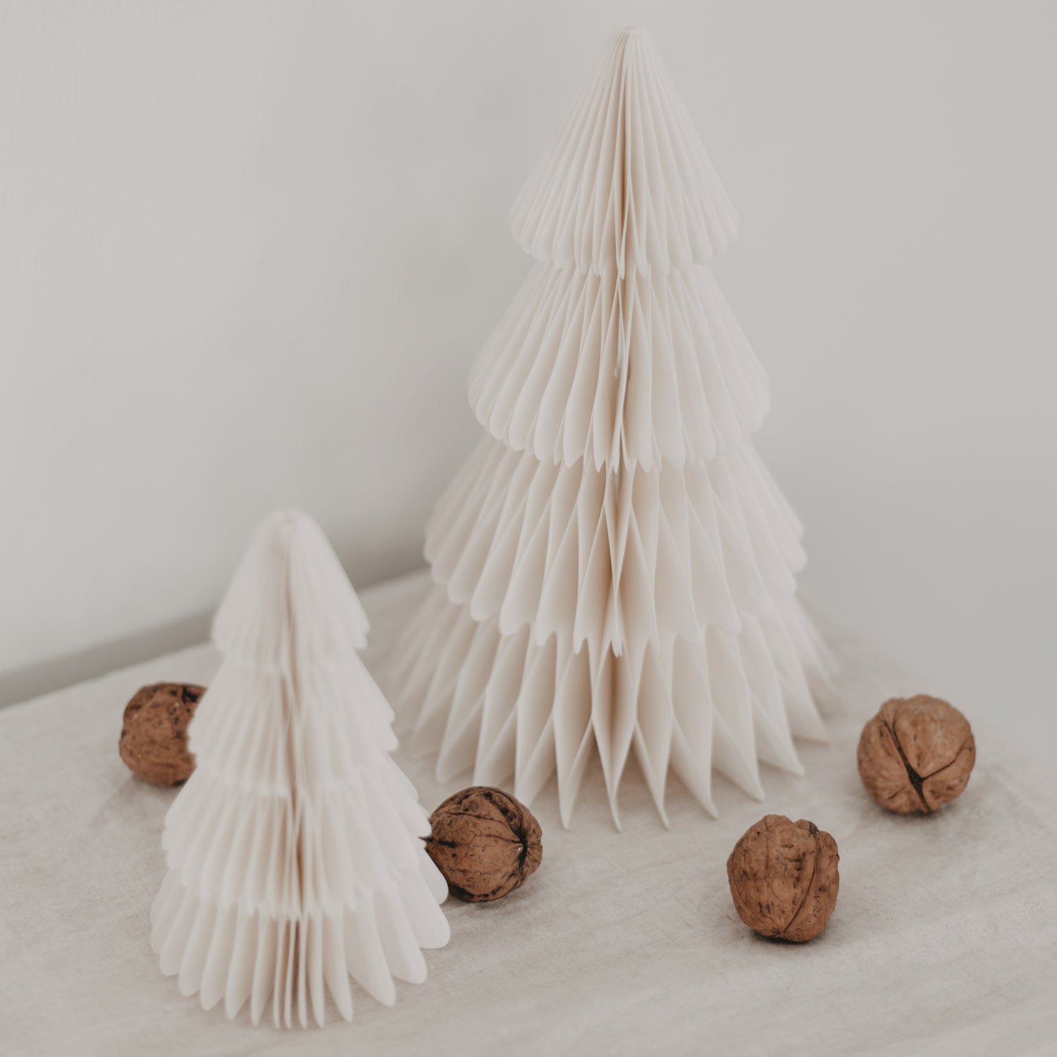 Papiertanne 2er Set