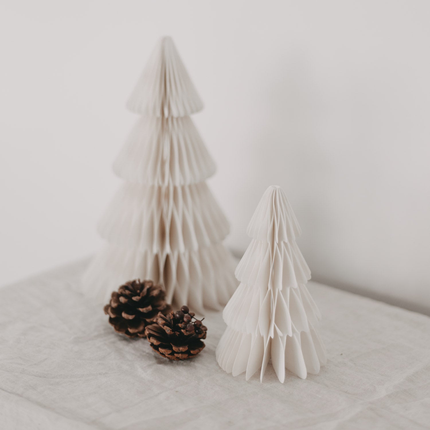 Papiertanne 2er Set