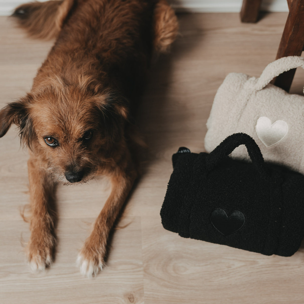 Hundedecke schwarz S
