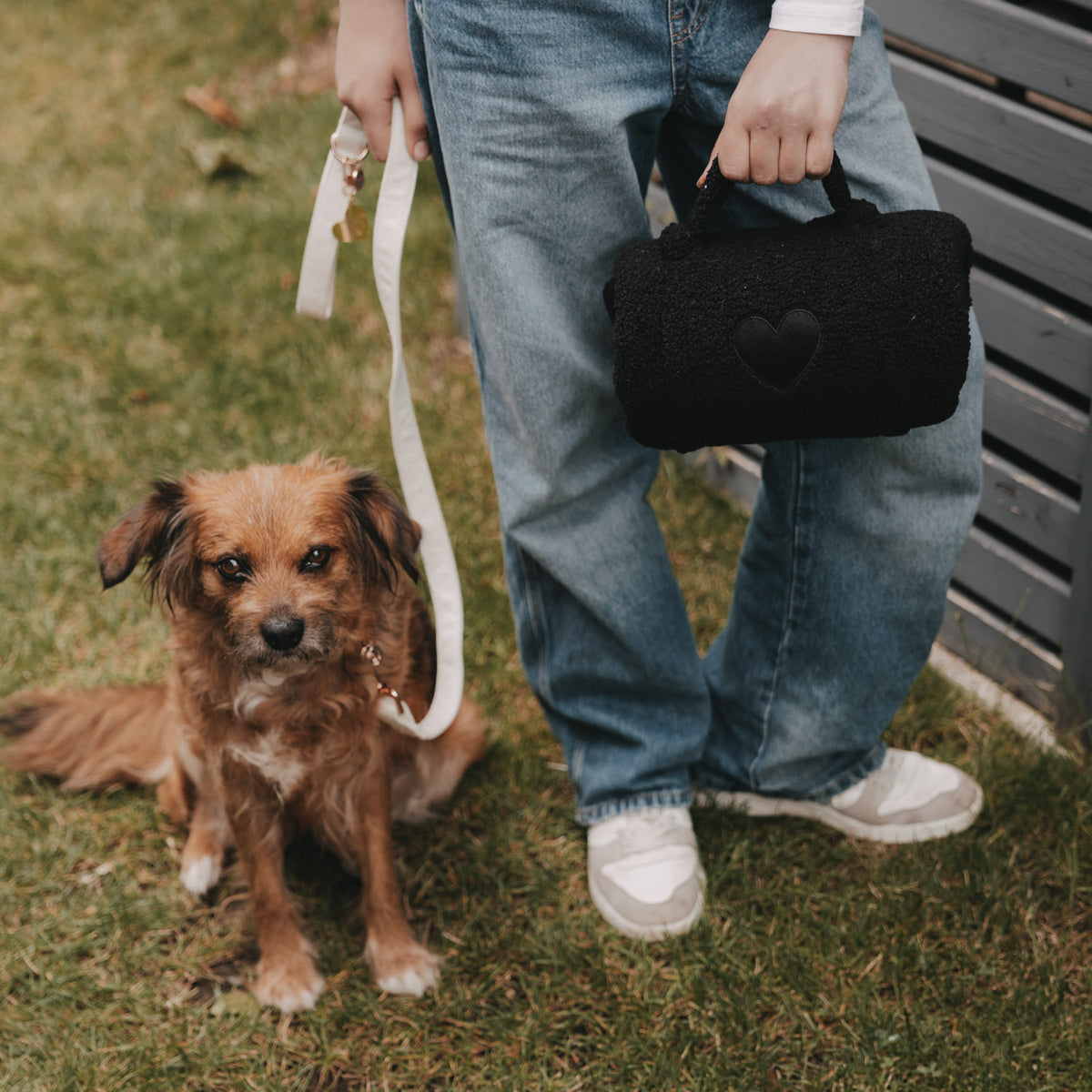 Hundedecke schwarz S