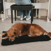 Hundedecke schwarz S