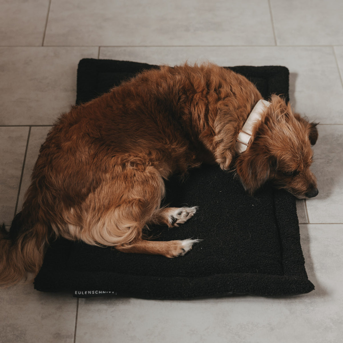 Hundedecke schwarz S
