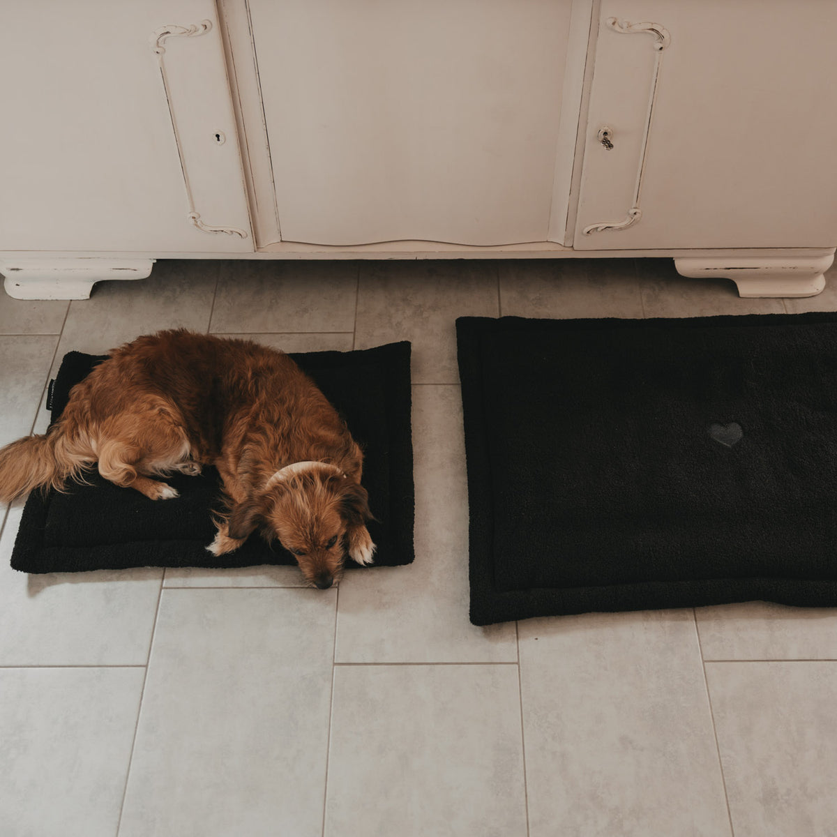 Hundedecke schwarz S