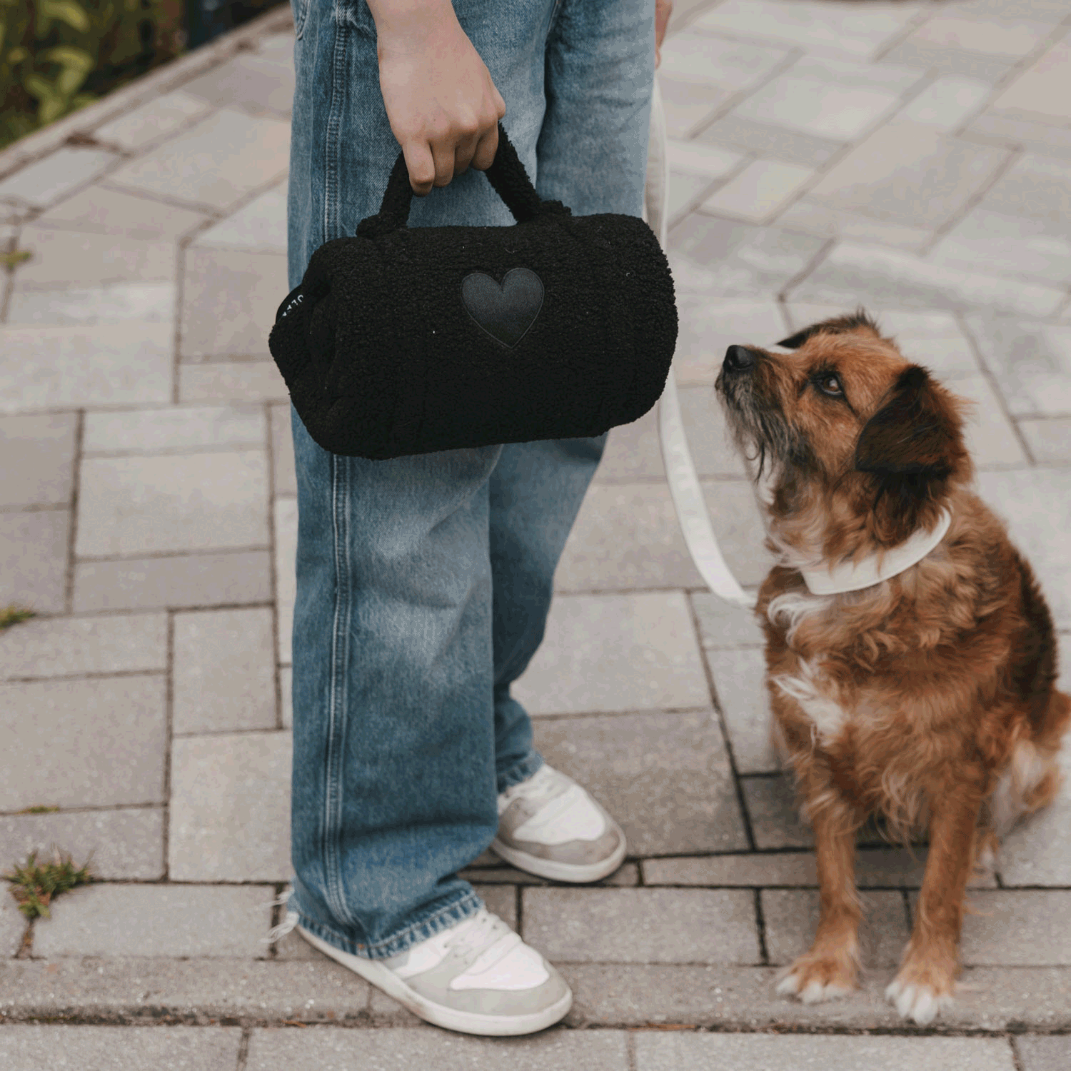 Hundedecke schwarz S