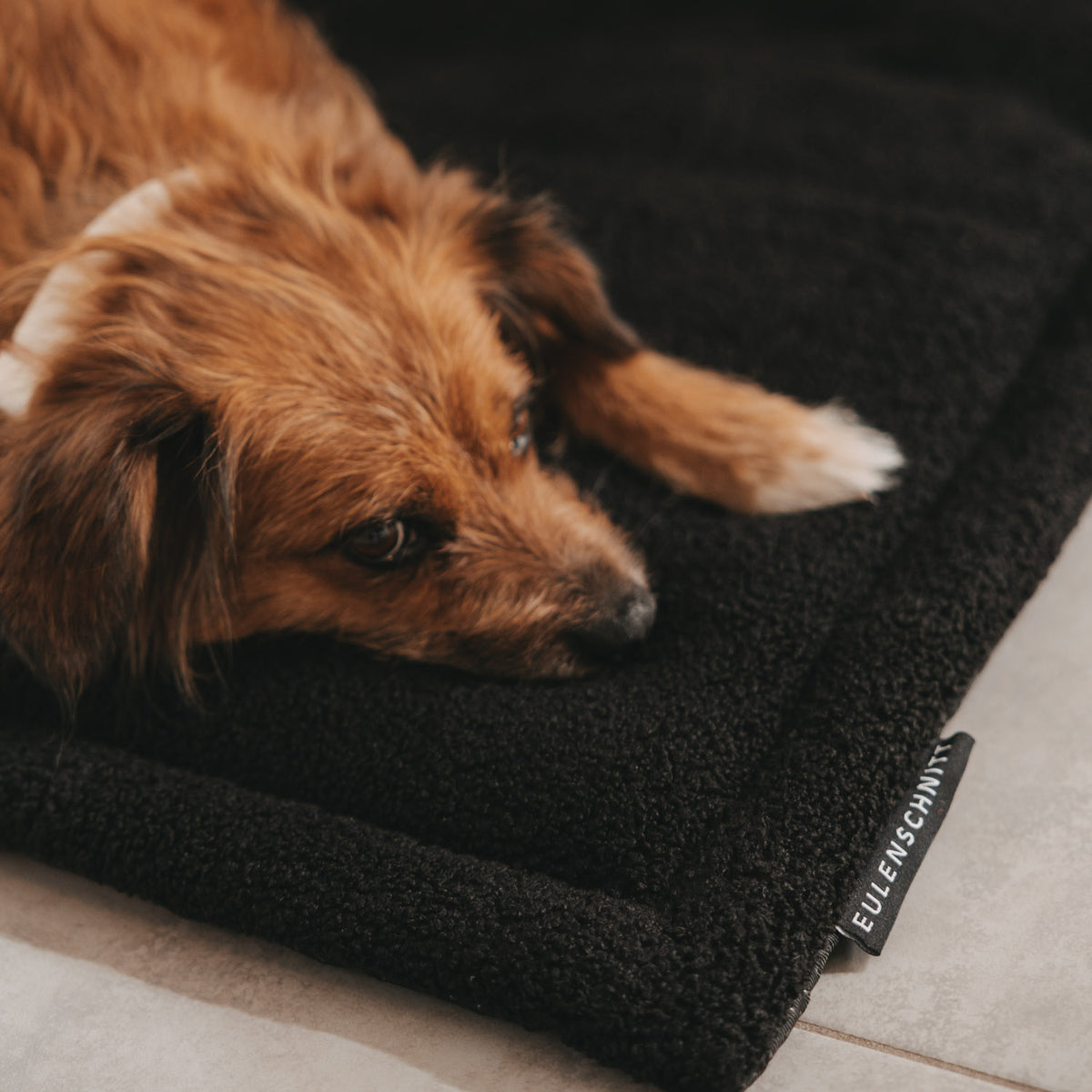 Hundedecke schwarz M