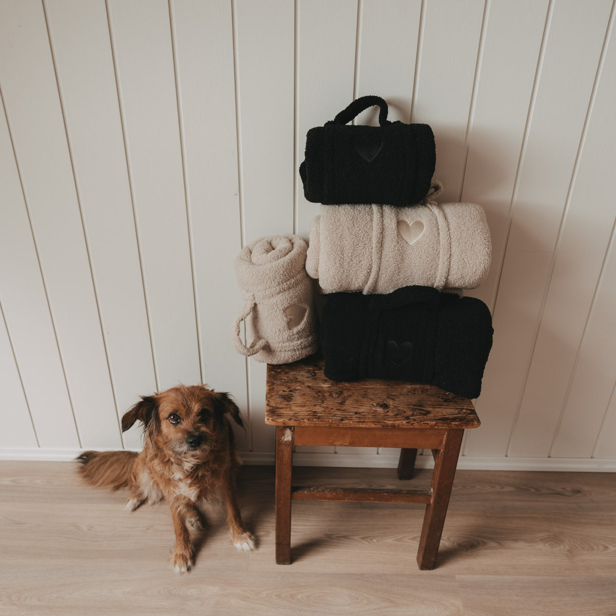 Hundedecke schwarz M