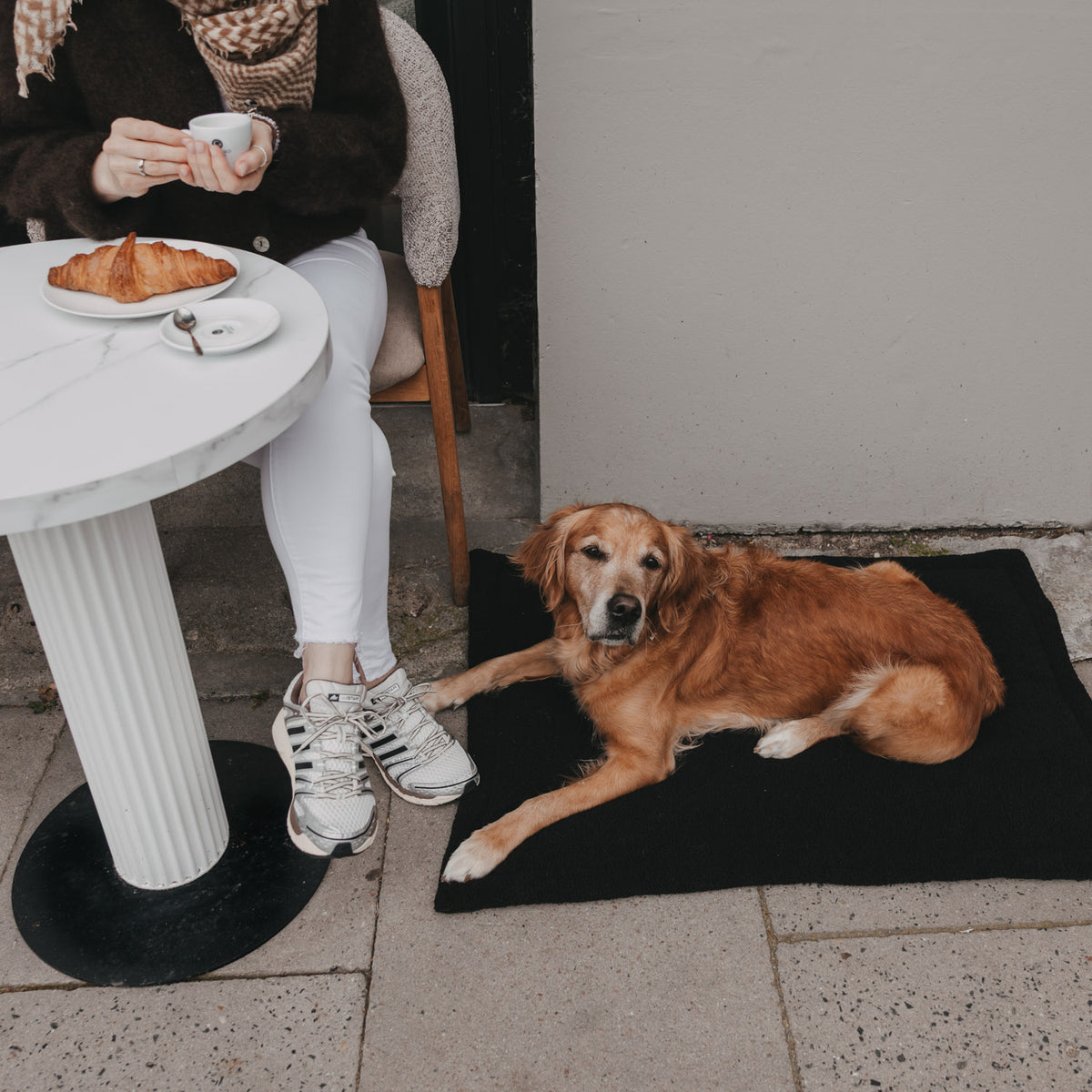 Hundedecke schwarz M