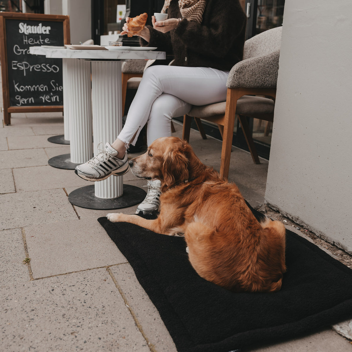 Hundedecke schwarz M