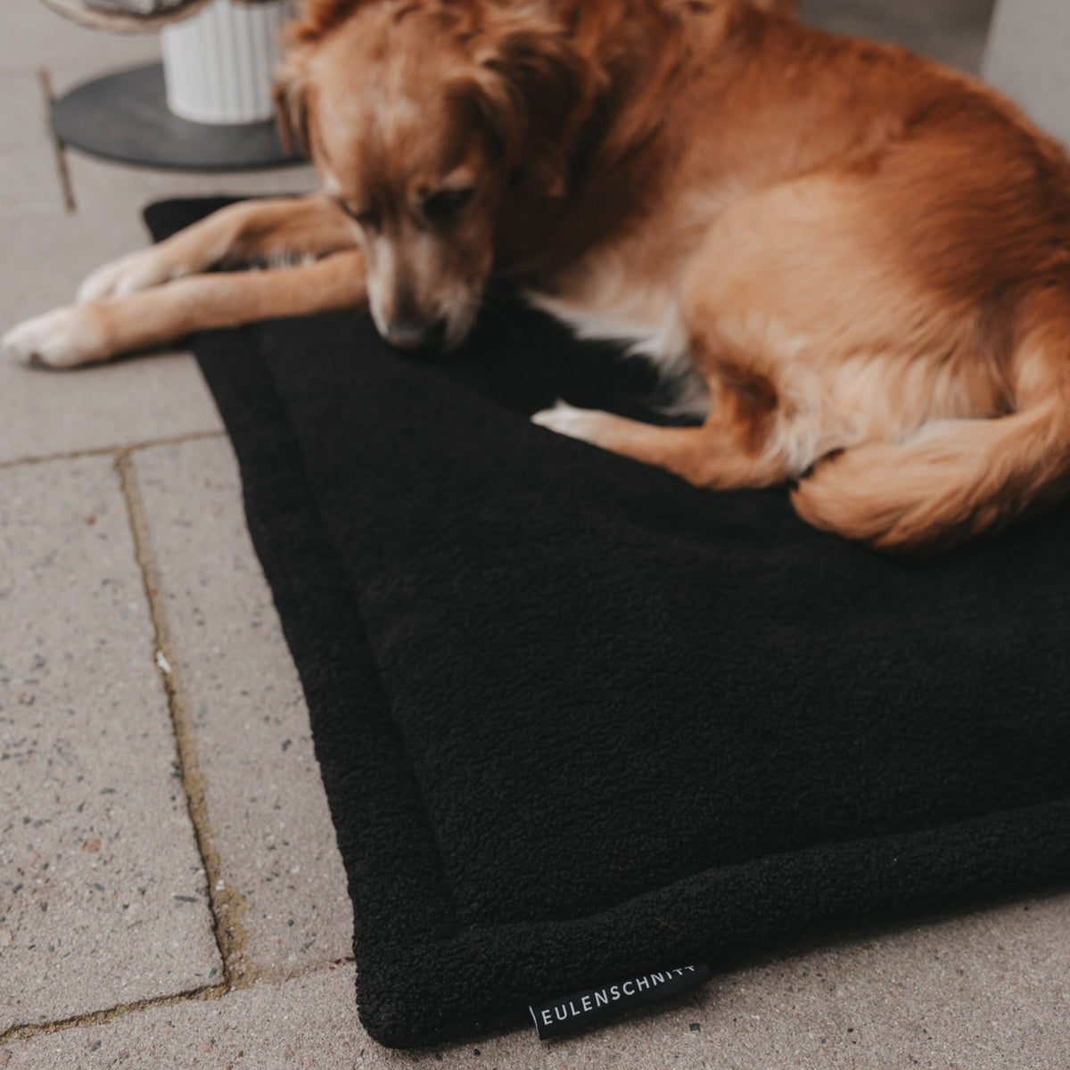 Hundedecke schwarz M