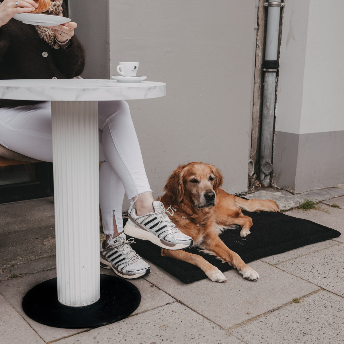 Hundedecke schwarz M