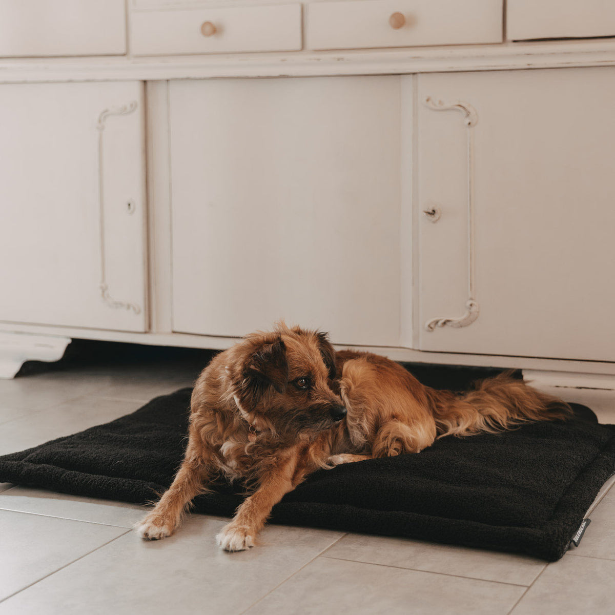 Hundedecke schwarz M